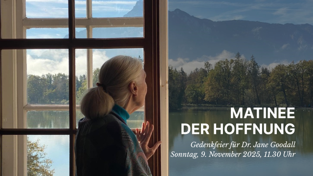 MATINEE DER HOFFNUNG