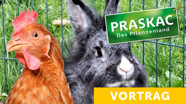Hühner & Kaninchen – Tierisch gute Tipps
