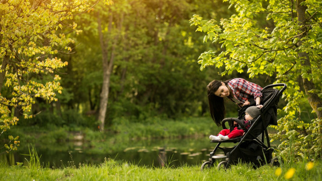 Kinderwagen-Familien-Wanderung