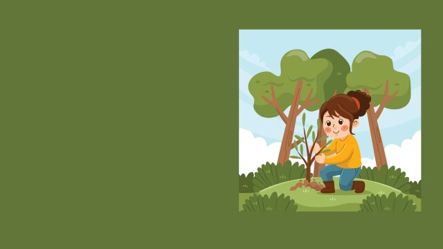 Von Baum zu Baum – ein Rundgang zu den Bäumen in der Stadt